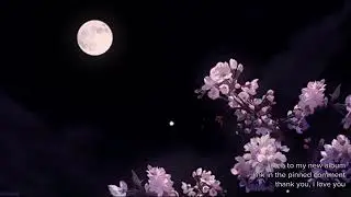 cigarettes after sex - hot (slowed + reverb)