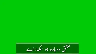 IshQ Dubara Ho Sakda Ay||Best Punjabi Poetry||_IMovie_Green screen
