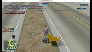 [SA-MP] Pet dog system - Evolved Roleplay