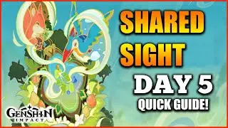 Shared Sight Day 5 | Opportunity from On High | Genshin Impact