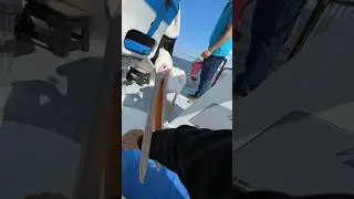 A Pelican BIT ME in NAMIBIA!