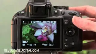 Introduction to the Nikon D5200: Basic Controls