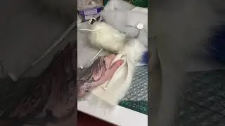 Знаете почему на ютубе от меня так мало видосов? Потому что они не залетают 😂 #art #sculpture