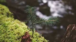 A Magical Place (Short Film) / Ambient Music