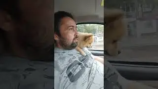 Юни едет в гости