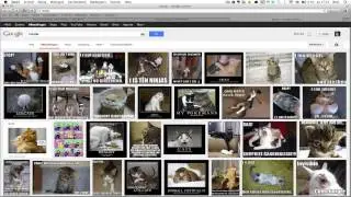 Foto WordPress Invoegen -- Afbeeldingen en foto's toevoegen aan je site!