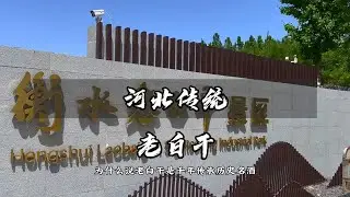带你深入了解衡水老白干