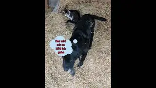 😂