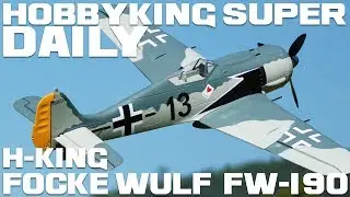 H-King Focke Wulf FW-190 Butcher Bird EPO 1600mm (63