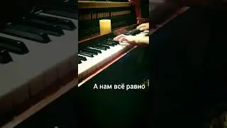 А нам все равно 💃🎶 Песня про зайцев. 