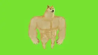 Doge Meme Green Screen