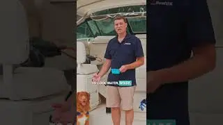Take Your Dog Boating: Keep Your Dog Comfortable Aboard | BoatUS