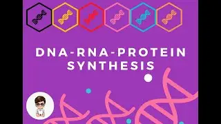 DNA RNA Protein | Grade 10 Science | 3rd Quarter