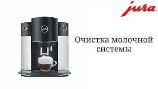 Очистка молочной системы кофемашины JURA D6