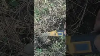 гавнокоп #metaldetecting #коп  #legend