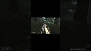 Fear and Hungers | Morrowind