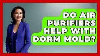Do Air Purifiers Help With Dorm Mold? - The College Explorer