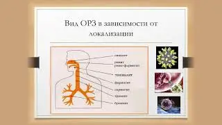 Демо 3 - дистанционное обучение