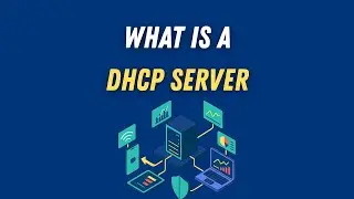 What is a dhcp server