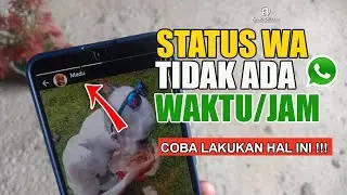 Status Whatsapp Tidak Ada Waktu atau Jam nya , Coba Lakukan Hal Ini !