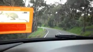 BMW 1M Press Launch In Australia