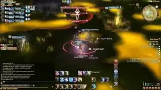 Final Fantasy XIV - Aurum Vale Exp Run