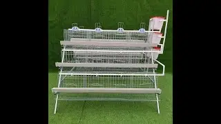 Chicken cage load-bearing test