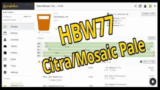 HBW77 - Citra/mosaic pale