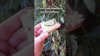 Рецепт полезной намазки на бутерброд. Супер быстро и вкусно #cooking #рецепты #рецепт #закуска