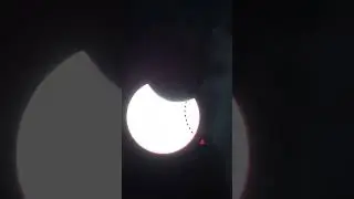 What was that? While filming the eclipse I spotted these. Any idea?
