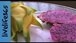 How to...Prepare & Eat Dragon Fruit