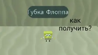 как получить губку флоппу в найти морфы флоппы