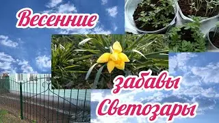Северянка на хуторе//Тюнинг забора или лицо хозяйки//Обман природы и другие мелочи