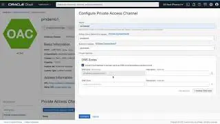 Oracle Analytics Private Access Channels
