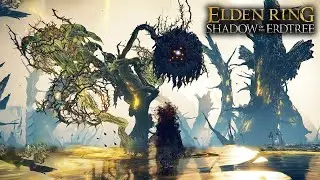 I finally killed the boss! Elden Ring, Scadutree Avatar Boss