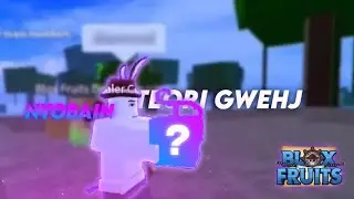 Blox Fruit - Teori Fruit Bilek