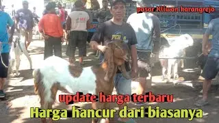 UPDATE HARGA TERBARU HARGA HANCUR DARI BIASANYA