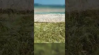 Лето 2022. Красота полей.