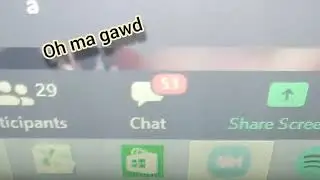 Zoom chat goes nuts