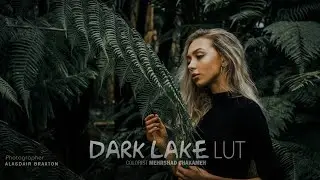 Dark Lake LUT 2 ( Cinematic color )