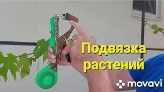 Степлер для подвязки растений. Как пользоваться.