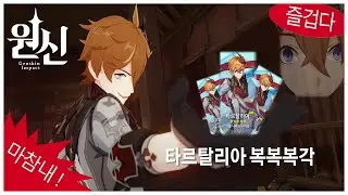 원신 예능담당 타르탈리아 복복복각 기념 매드무비