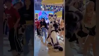 Amazing cat 😍👏🏻 #dance #cat