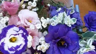 📍Пошли по всем злачным местам😉 Общаемся, удивляемся.