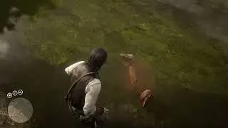 RDR2 FREEROAM GAMEPLAY | 1080p Medium Graphics