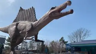 Океанариум Нью Иорка.