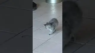 Массаж сердца
