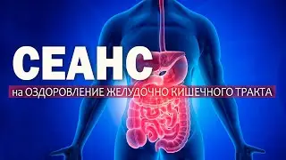 Сеанс на оздоровление ЖКТ (желудочно кишечного тракта)