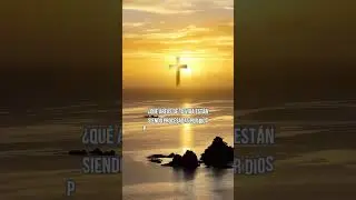 ¿Qué áreas de tu vida están siendo procesadas por Dios para que puedas ser más fuerte en Él?