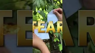 Learn English | simple english #english #englishlanguage #shorts